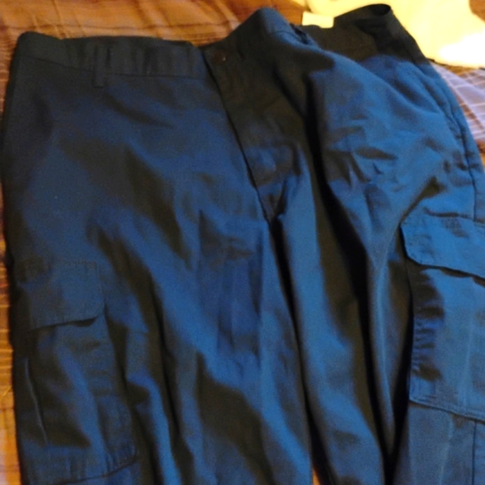 Dickies cargo pants